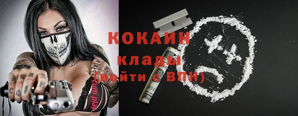 первитин Новодвинск