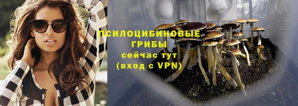 первитин Новодвинск