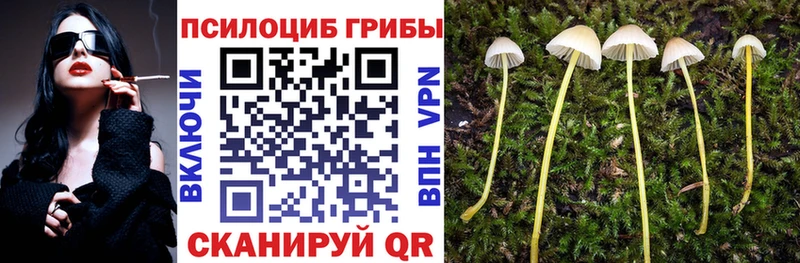 Галлюциногенные грибы Magic Shrooms  Бежецк 